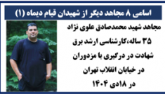 ۸ شهید دیگر قیام